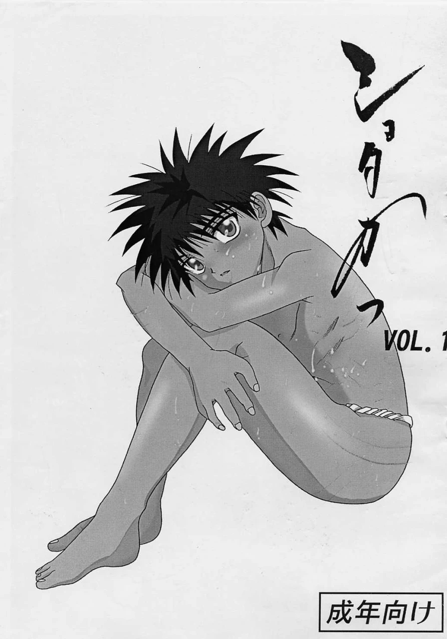 shota-collection-2-mu-katsutoshi-shotakatsu-vol-1-various