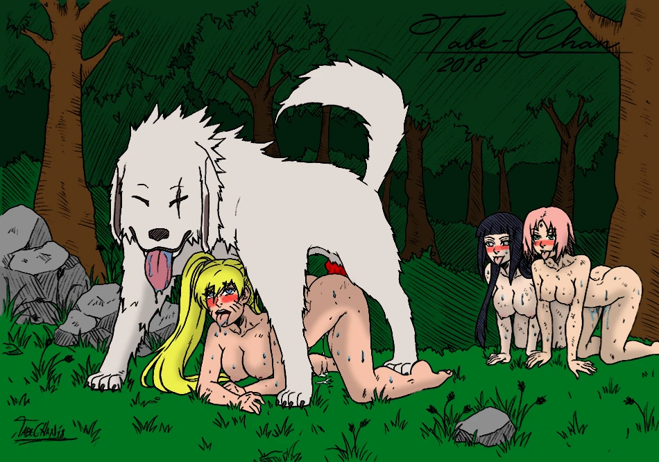akamaru-narutohyuuga-hinatanarukosakura-harunouzumaki-naruto