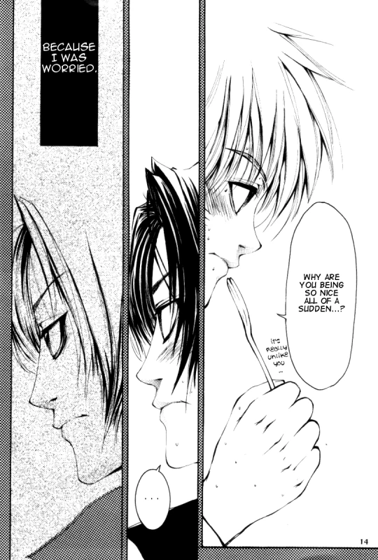 (C62) [ANJEY-SS (Amemiya Kazuyuki)] Zecchoushuu Sono Ni (Naruto) [English] [Scan-Clan]_010