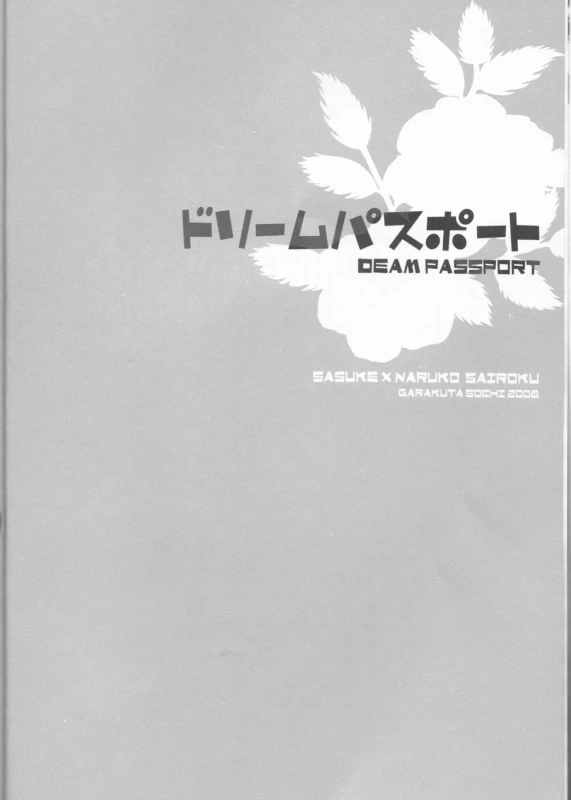 (C75) [Pierre (Garakuta Sochi)] Dream Passport (Naruto)_004