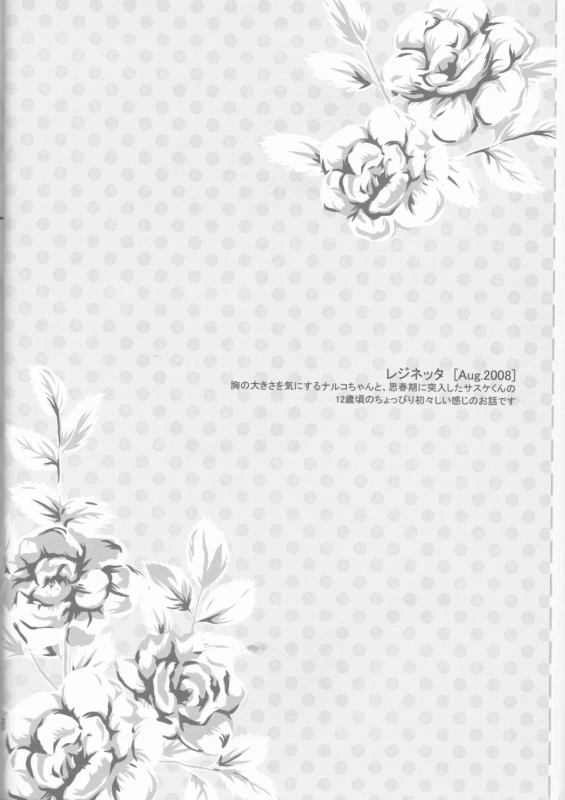 (C75) [Pierre (Garakuta Sochi)] Dream Passport (Naruto)_024