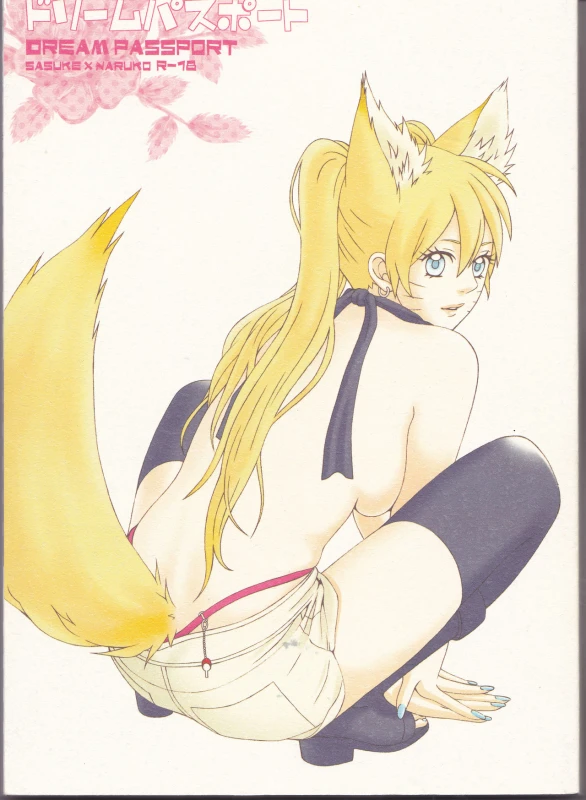 (C75) [Pierre (Garakuta Sochi)] Dream Passport (Naruto) [Incomplete]_00