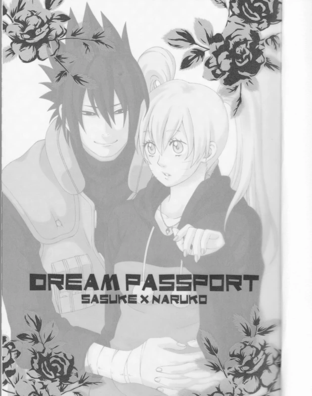 (C75) [Pierre (Garakuta Sochi)] Dream Passport (Naruto) [Incomplete]_01