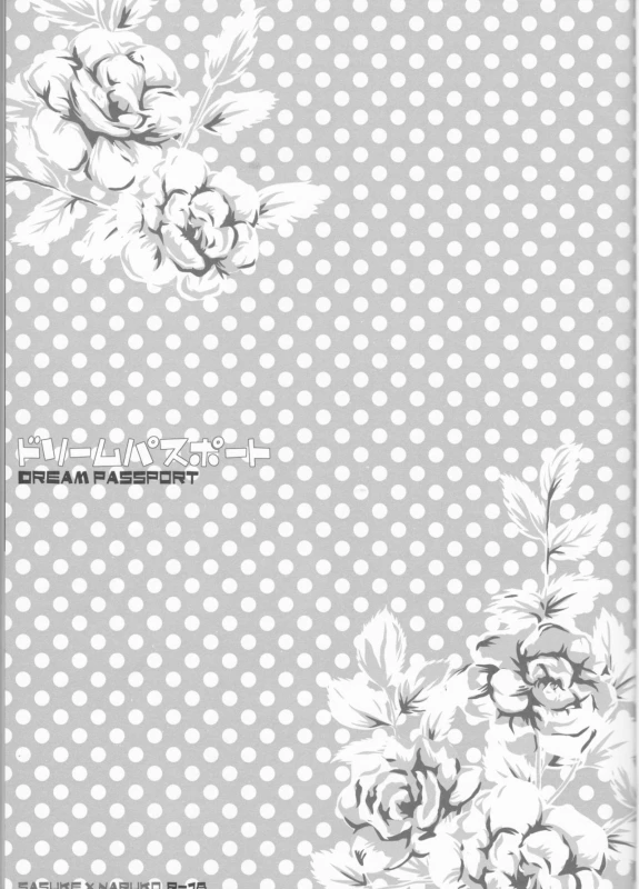 (C75) [Pierre (Garakuta Sochi)] Dream Passport (Naruto) [Incomplete]_03