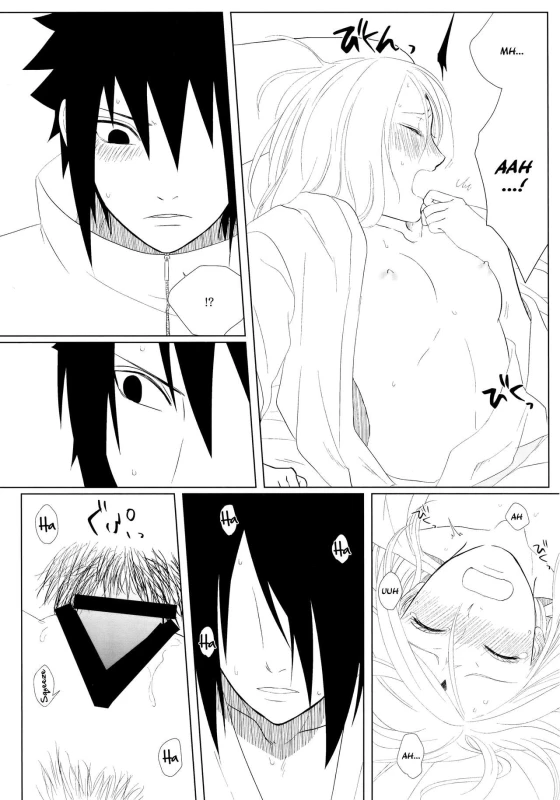 (Zennin Shuuketsu 10 ) [Fujii-ya no sake-ben (Saketoba)] S to S (Naruto) [English] [Echo-chan]_25