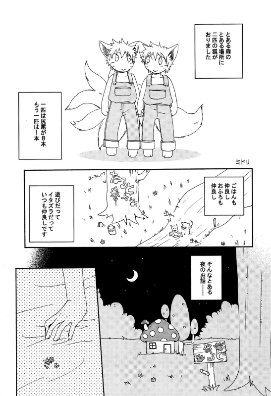 [Natural GREEN!, Ca- (Midori, Ca)] Animal Life (Naruto)_03